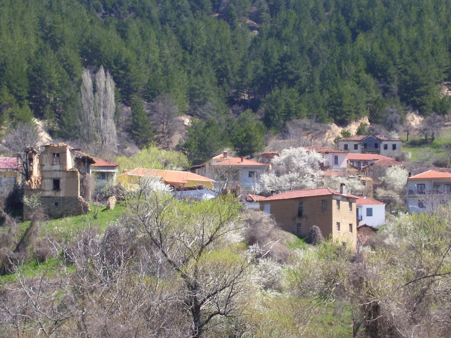 Ανταρτικό Φλώρινας